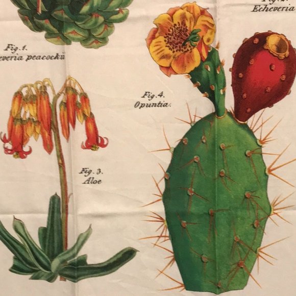 2019 calendar tea towel with cactus NWT - Picture 7 of 16